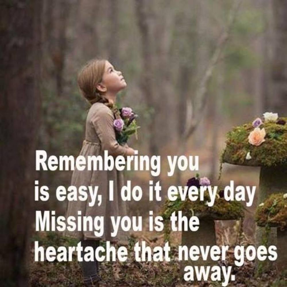 Meet your Posher, Tommie